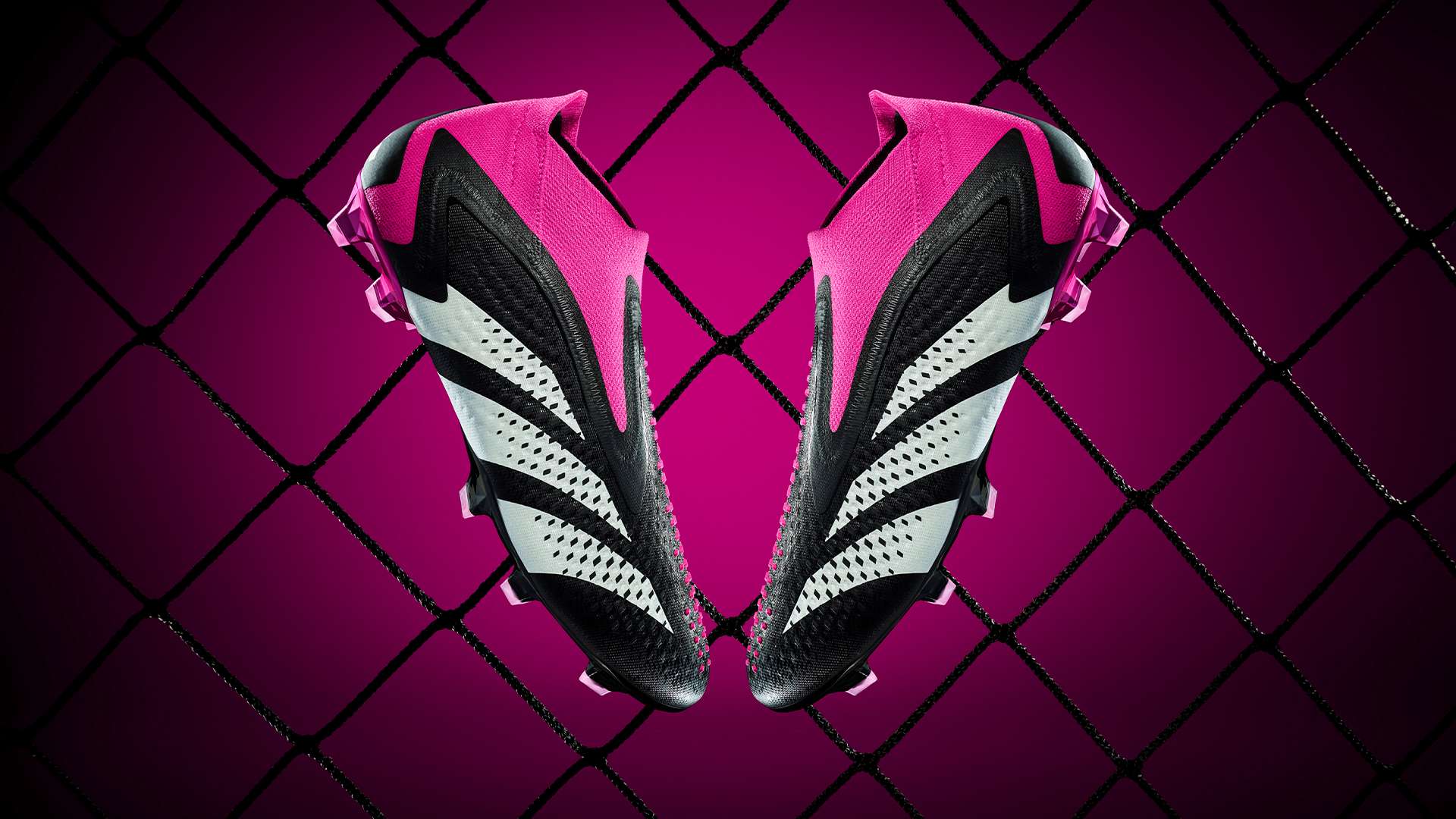 在试图保持 在试图保持