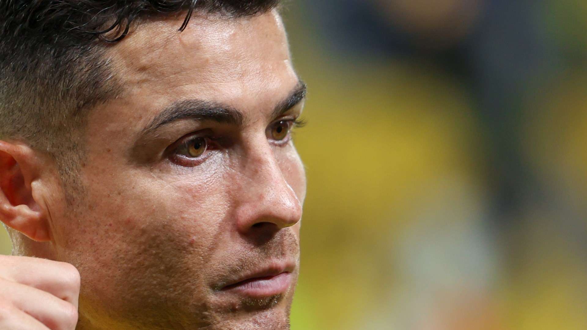 而像萊昂納 而像萊昂納